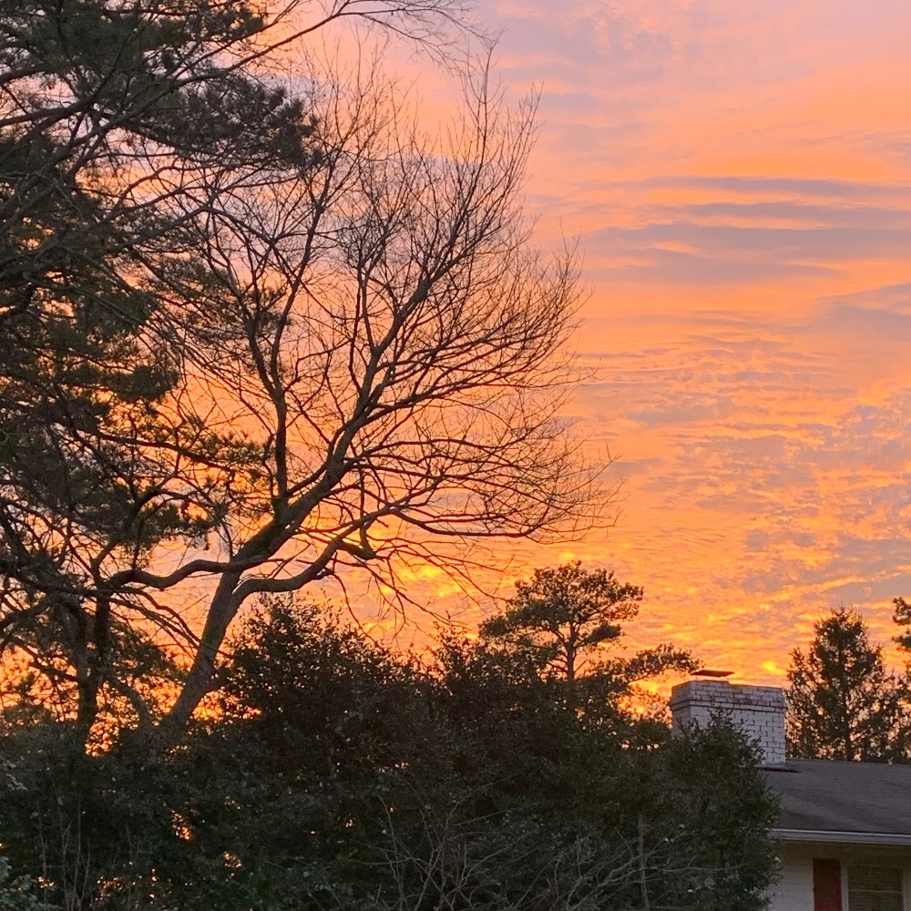 Meet your Posher, Lowry